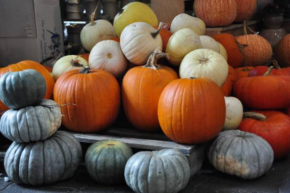 Para quem acha que as abóboras são todas laranjas (Granville Island Public Market, em Vancouver, no Canadá)